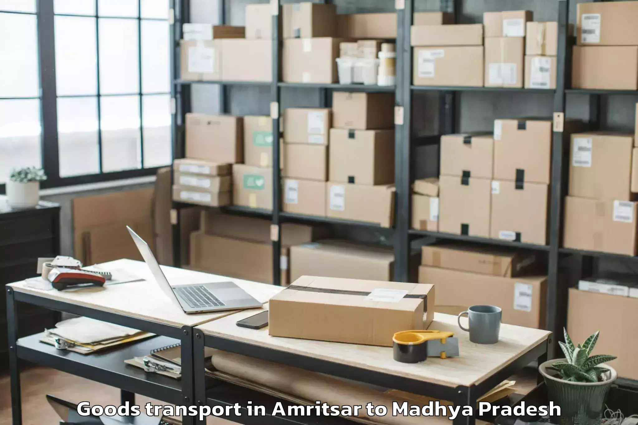 Reliable Amritsar to Mahidpur Goods Transport